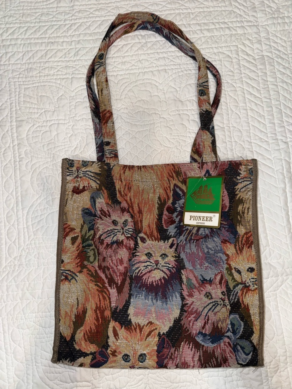 PIONEER Multicolor Woven Tote with Cat Motif